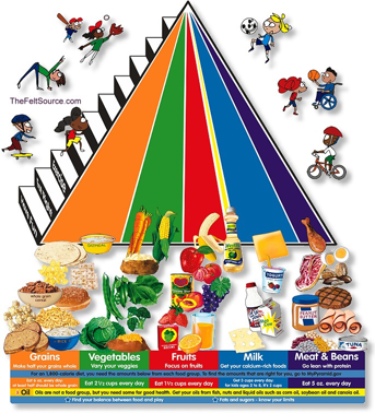 New Food Pyramid