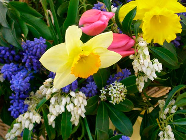 dry flowers craft